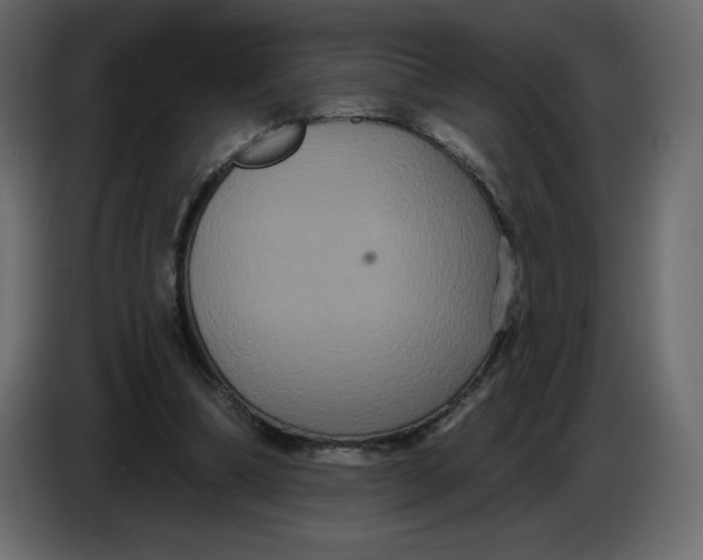 X0000086730298200705041353