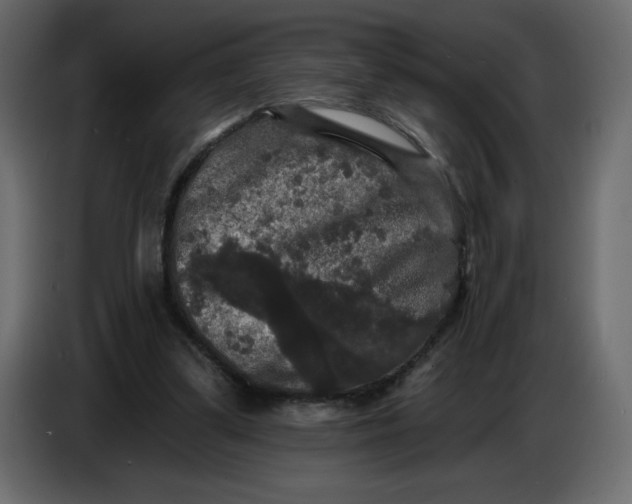 X0000086730299200705041353