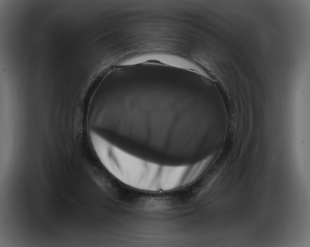 X0000086730303200705041353