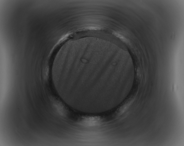X0000086730304200705041353