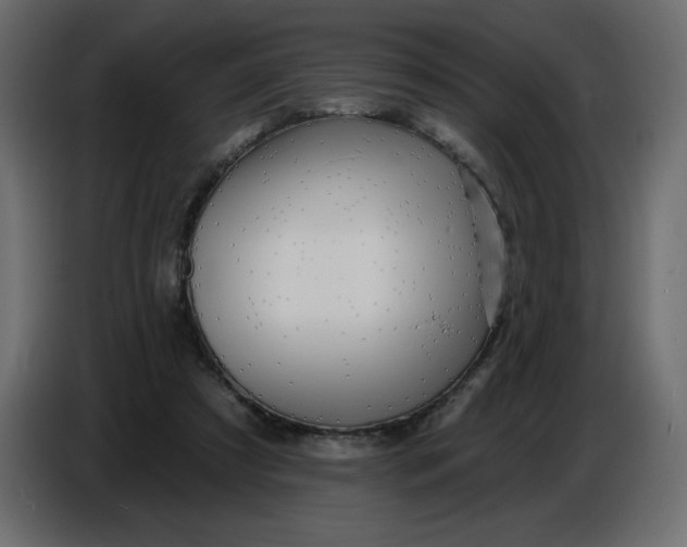 X0000086730305200705041353