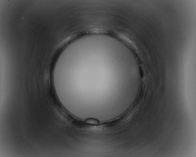 X0000086730306200705041353