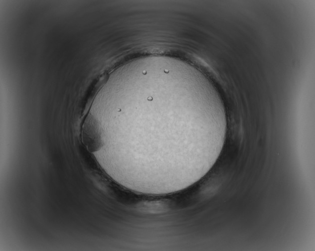 X0000086730307200705041353