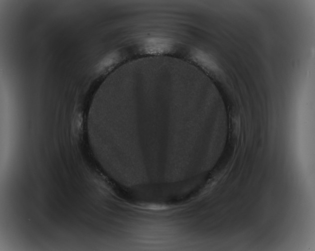 X0000086730308200705041353