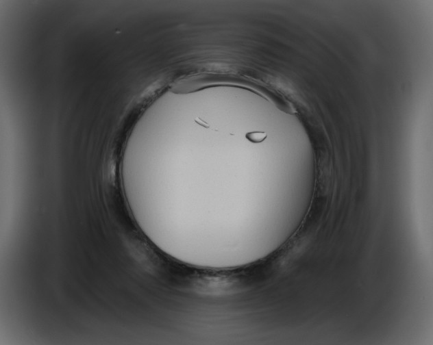 X0000086730310200705041353