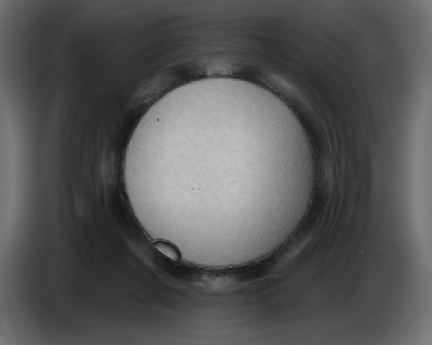 X0000086730311200705041353