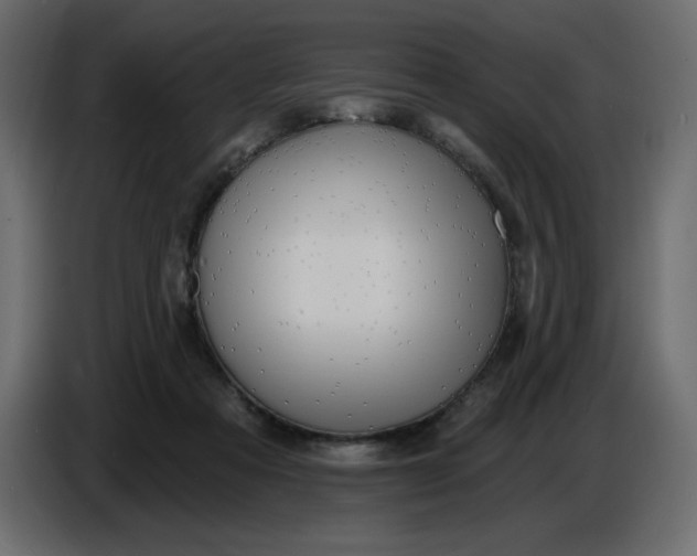 X0000086730313200705041353