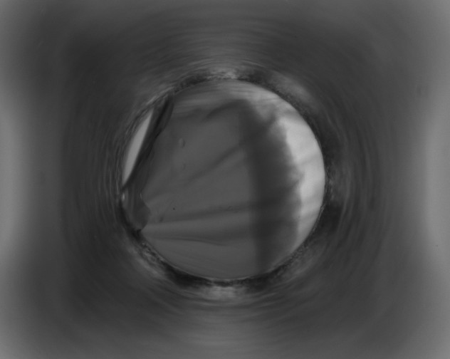 X0000086730314200705041353