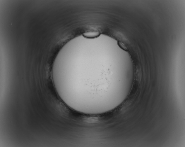 X0000086730318200705041353