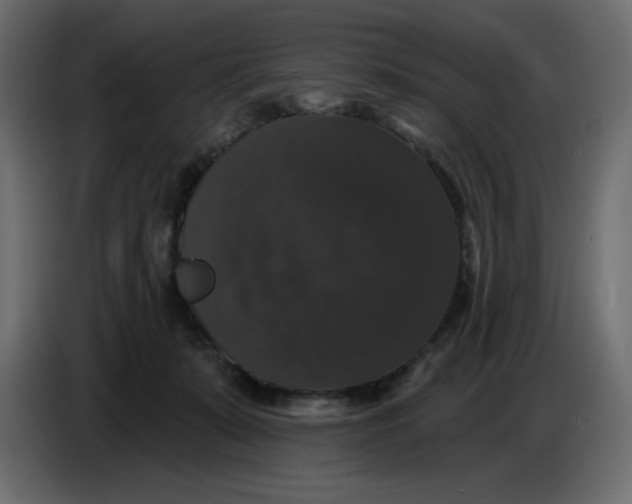 X0000086730319200705041353
