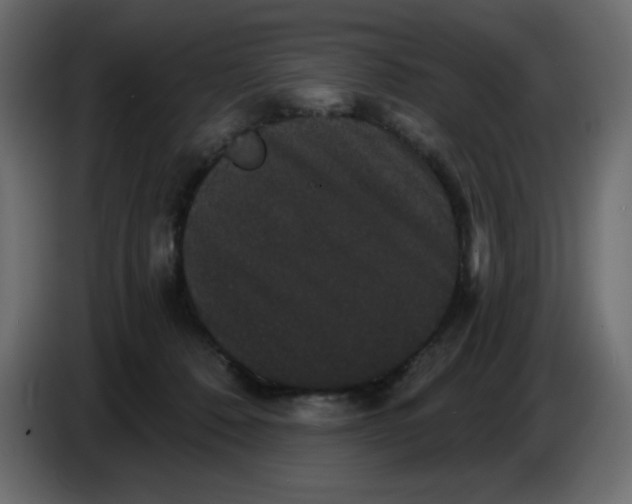X0000086730320200705041353