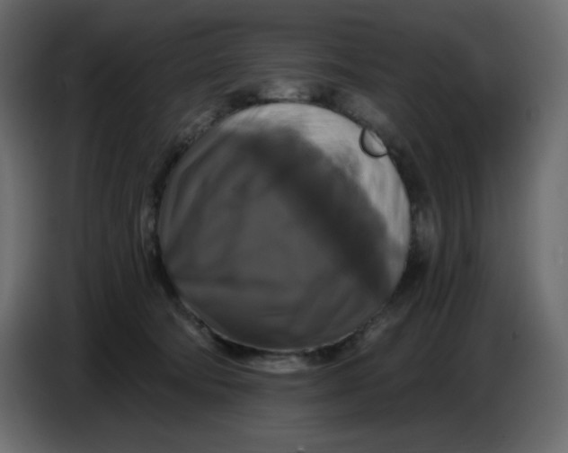 X0000086730322200705041353