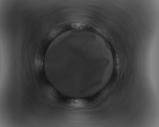 X0000086730324200705041353