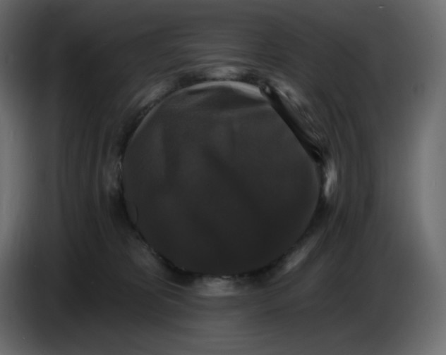 X0000086730325200705041353