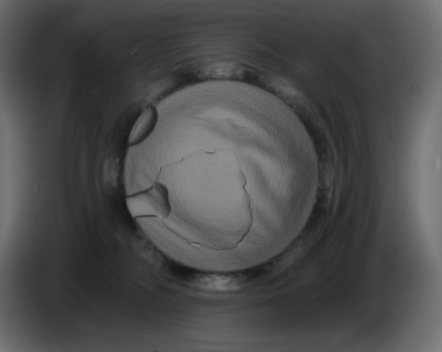 X0000086730326200705041353