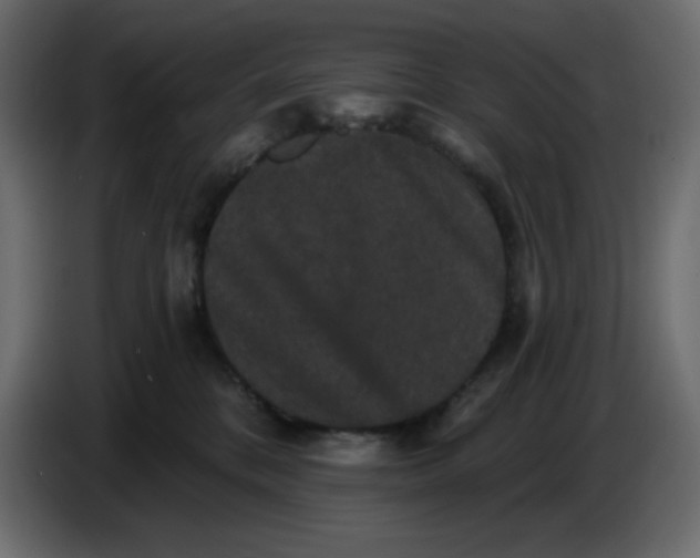 X0000086730328200705041353