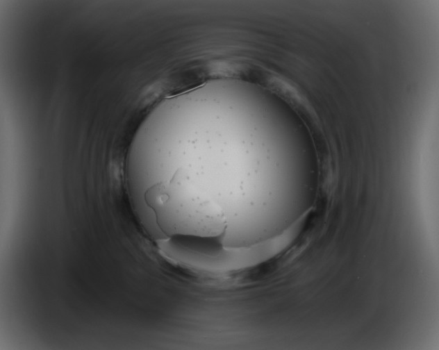 X0000086730329200705041353