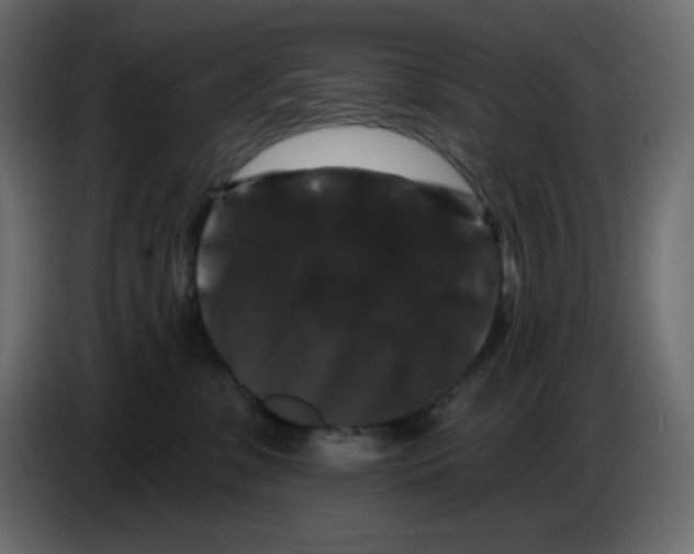 X0000086730331200705041352