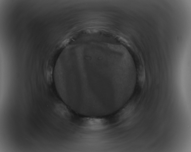 X0000086730332200705041352