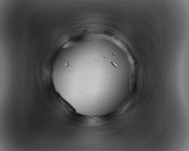 X0000086730333200705041352