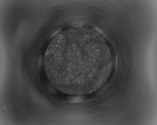 X0000086730335200705041352