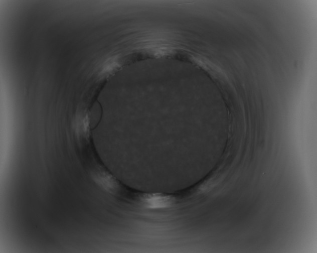 X0000086730336200705041352