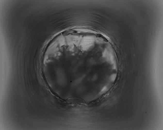 X0000086730337200705041352