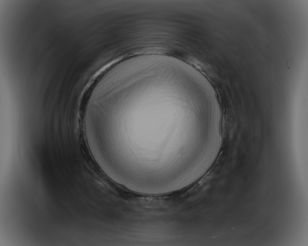 X0000086730338200705041352
