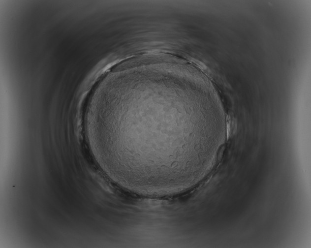 X0000086730339200705041352