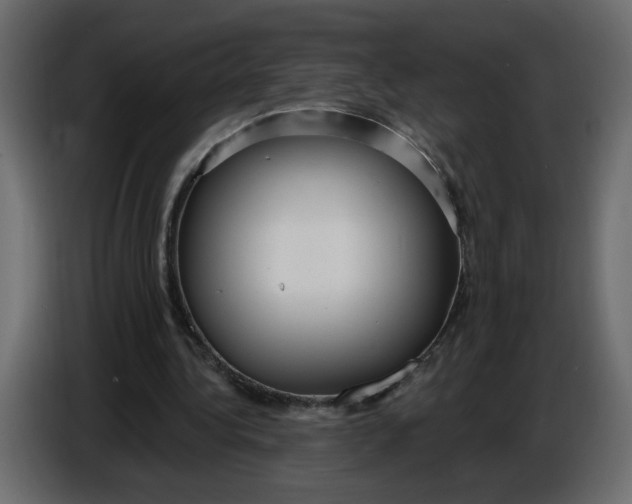 X0000086730340200705041352