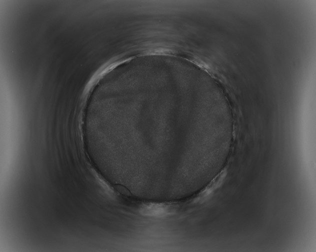 X0000086730341200705041352