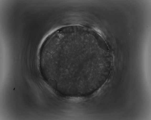 X0000086730342200705041352