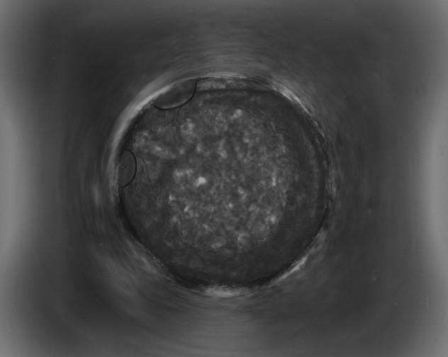 X0000086730343200705041352