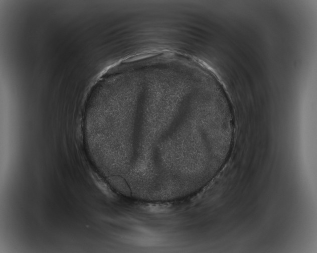 X0000086730345200705041352