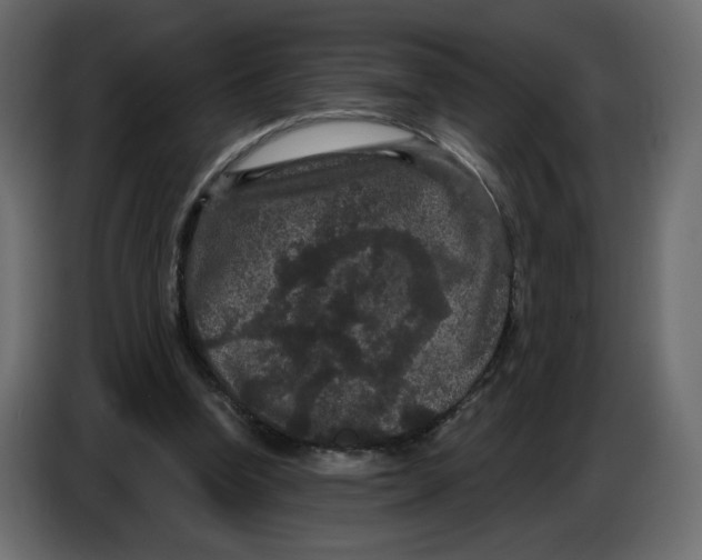 X0000086730346200705041352