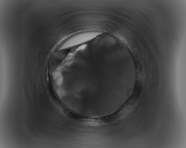 X0000086730347200705041352