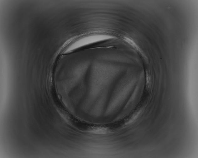 X0000086730348200705041352