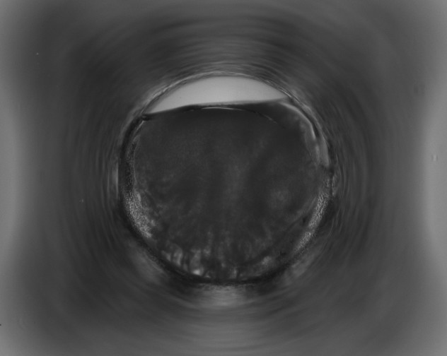 X0000086730349200705041352