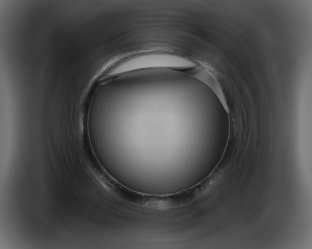 X0000086730350200705041352