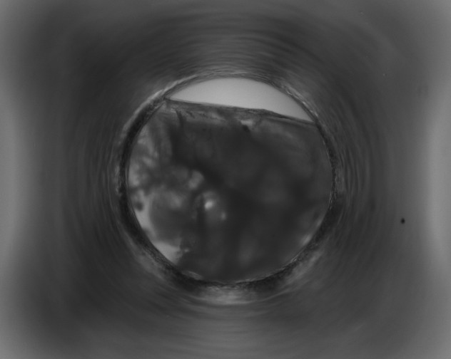 X0000086730351200705041352