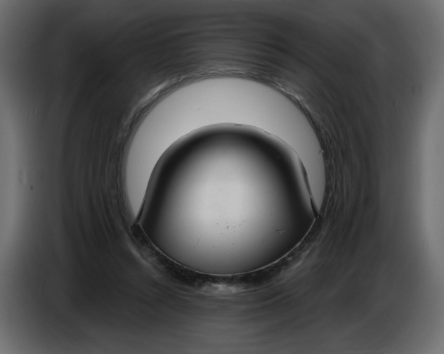 X0000086730352200705041352