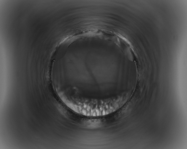 X0000086730353200705041352