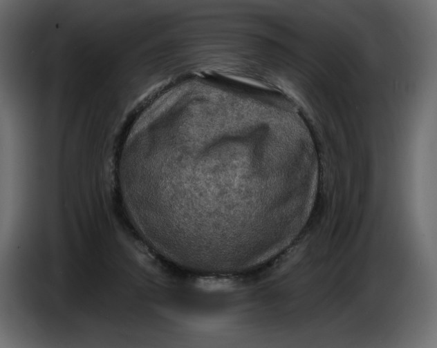 X0000086730354200705041352