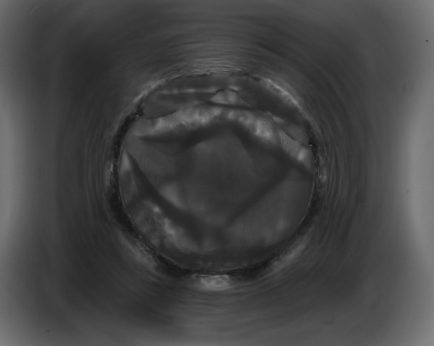 X0000086730355200705041352