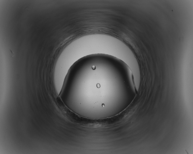X0000086730356200705041352