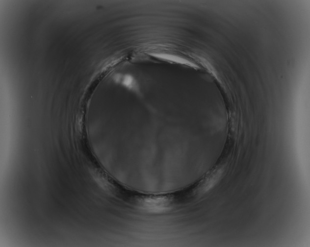 X0000086730357200705041352