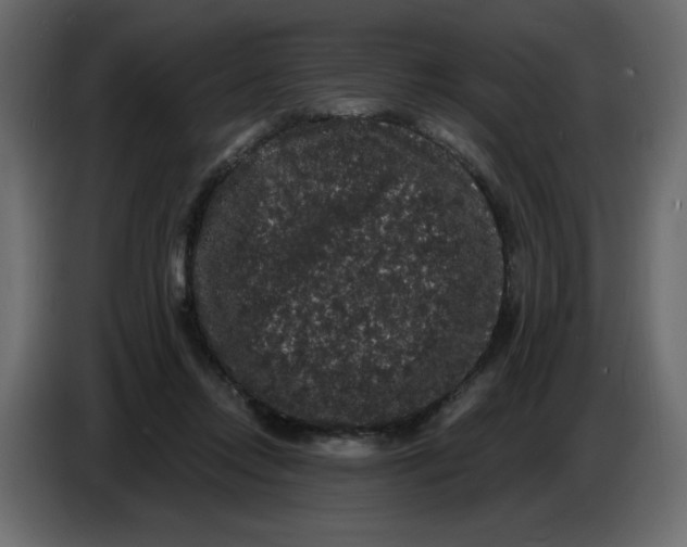 X0000086730358200705041352