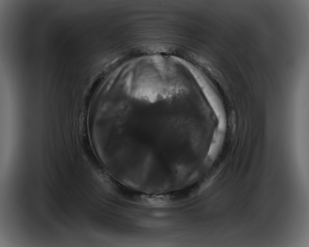 X0000086730359200705041352