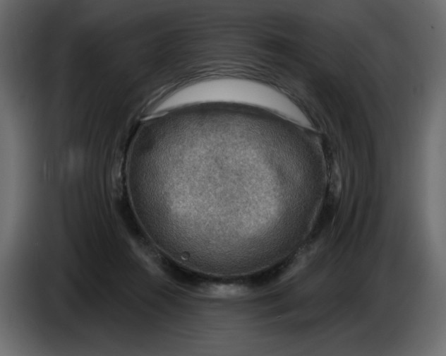 X0000086730360200705041352