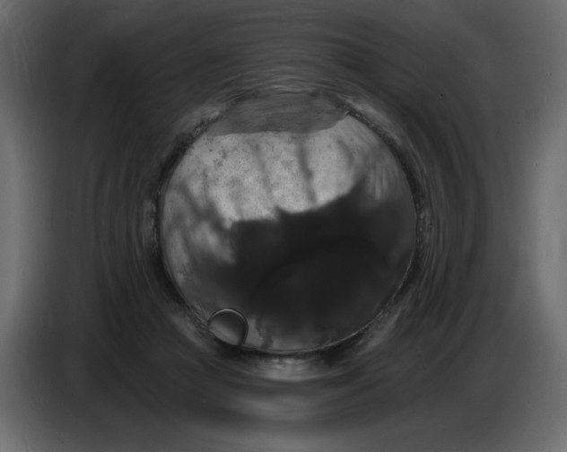 X0000086730361200705041352